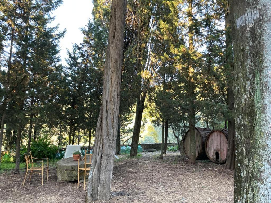 Fattoria Poggio Di Fiesole Villa Eksteriør bilde